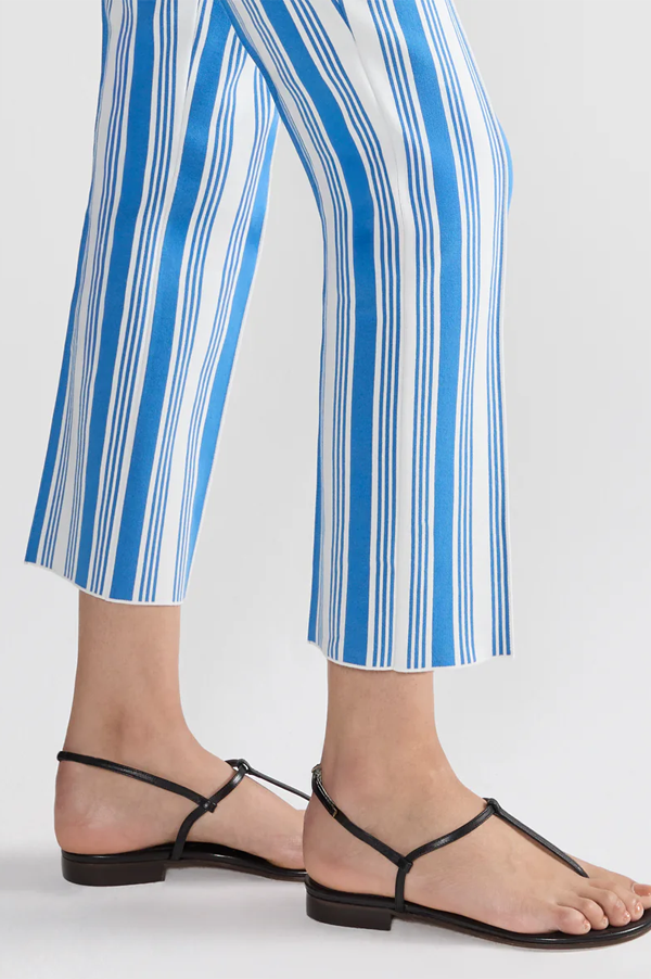 Vertical Stripe Louis Pants In Blue Combo