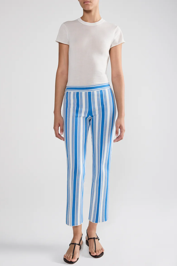 Vertical Stripe Louis Pants In Blue Combo