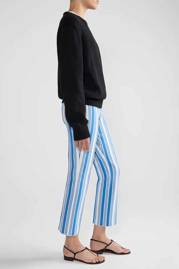 Vertical Stripe Louis Pants In Blue Combo