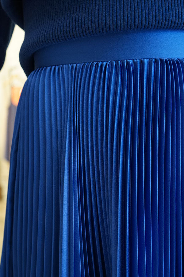 Sid Neigum Fibonacci Elipse Pleated Skirt In Blue