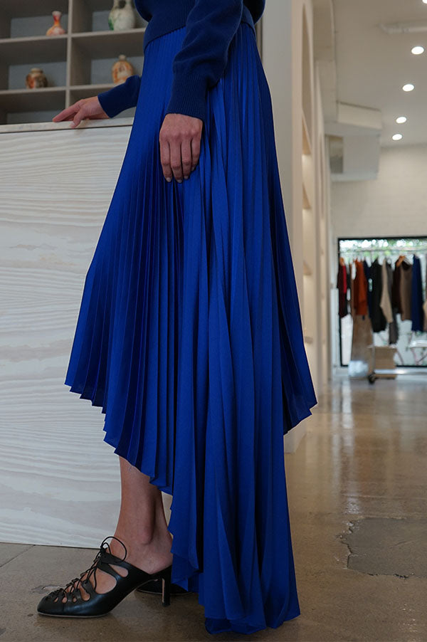 Sid Neigum Fibonacci Elipse Pleated Skirt In Blue